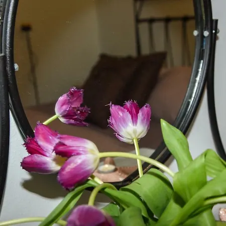 Gæstehus Porto Manolis 4*